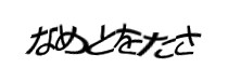 Authentication image