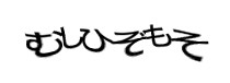 Authentication image