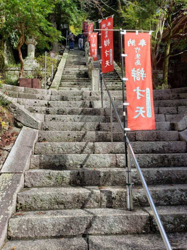 20251020_111101__large.png